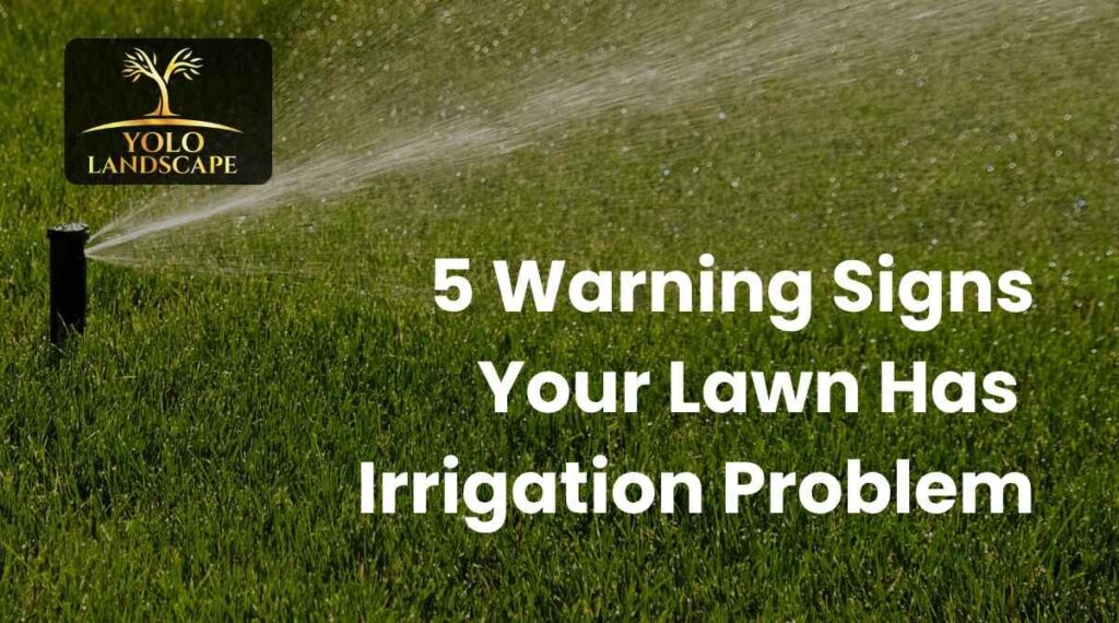 Your Lawn Has an Irrigation Problem