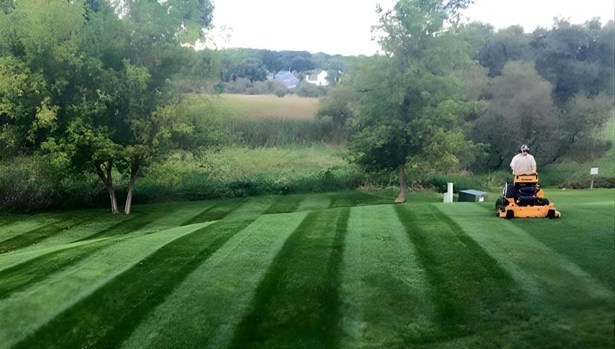 Lawn Mowing Services