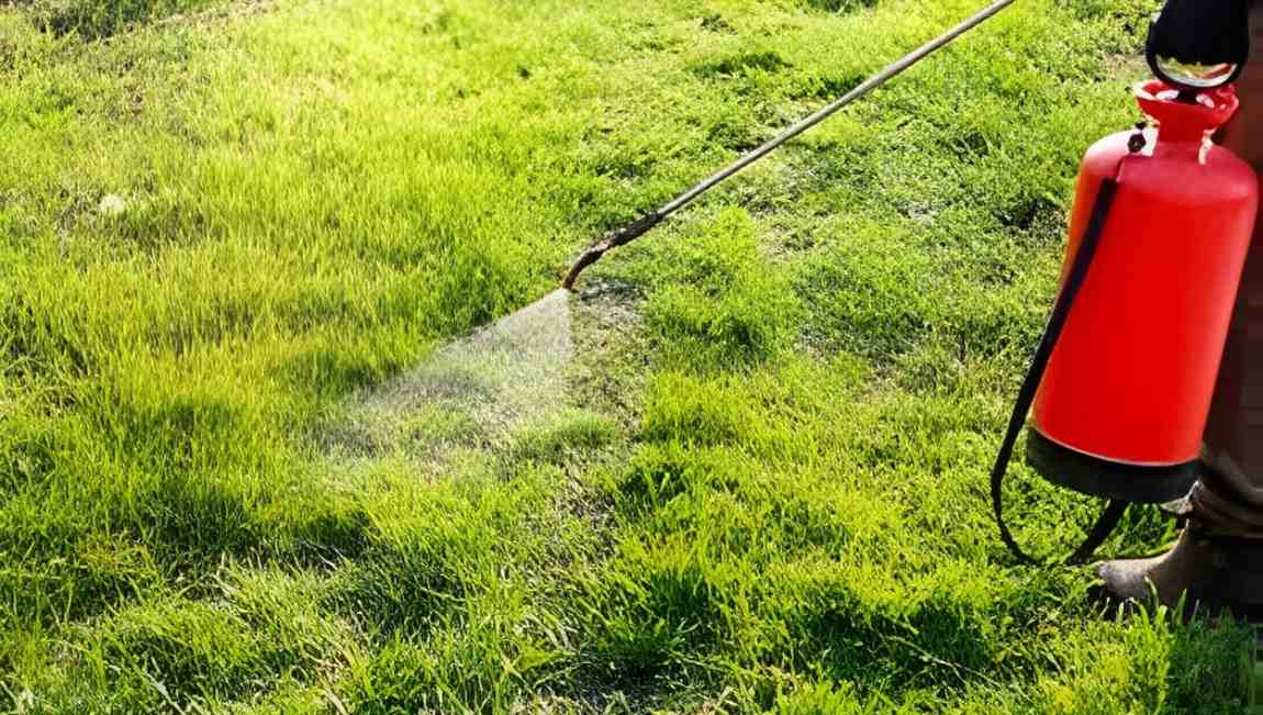 Lawn Pest Control