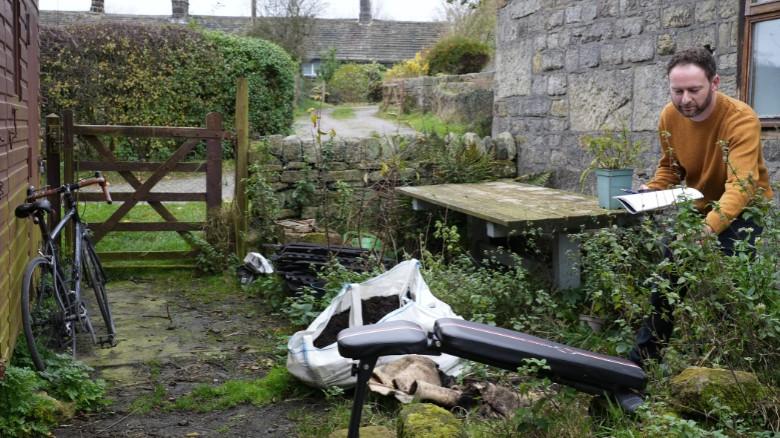 Overgrown Trees & Untidy Spaces