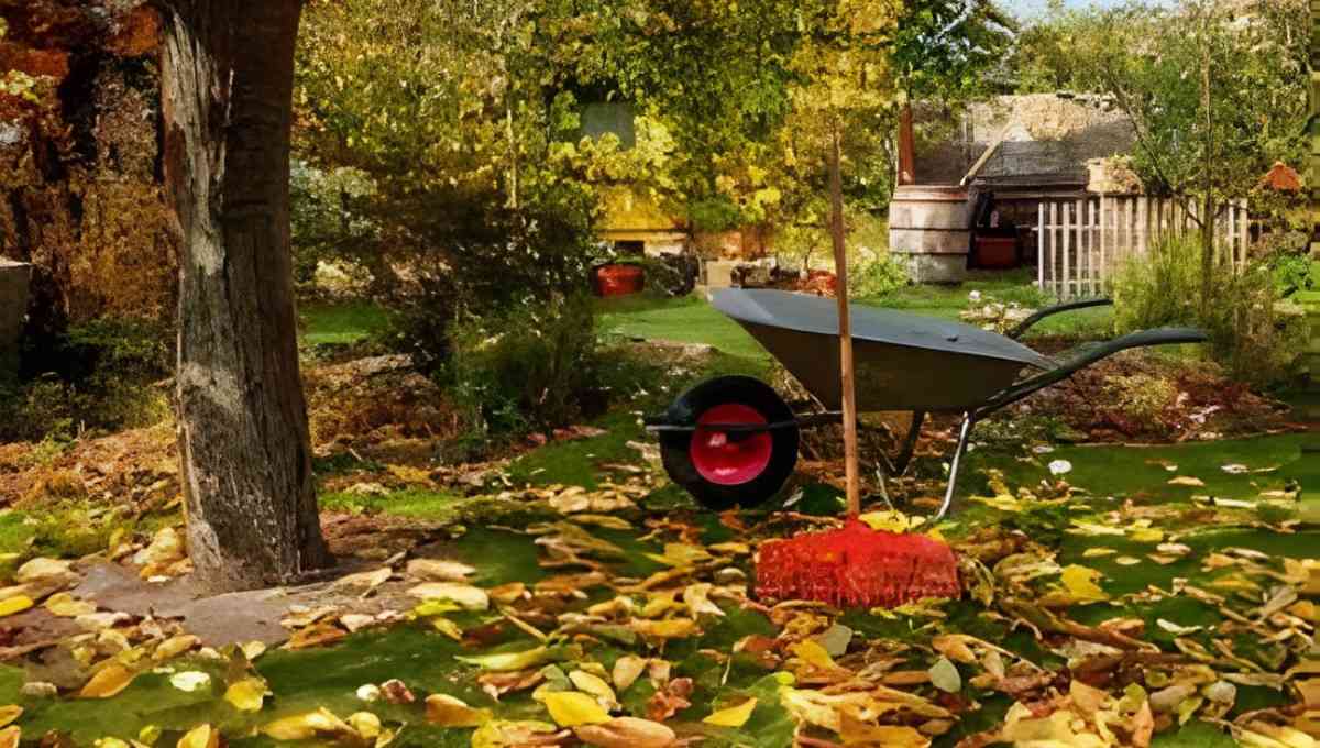 Seasonal Lawn Care (Spring/Fall)