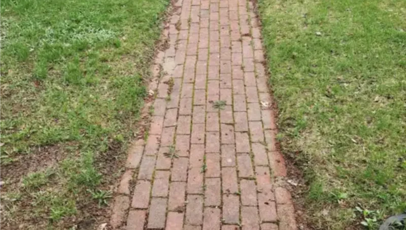 Walkways and Pathways in yolo