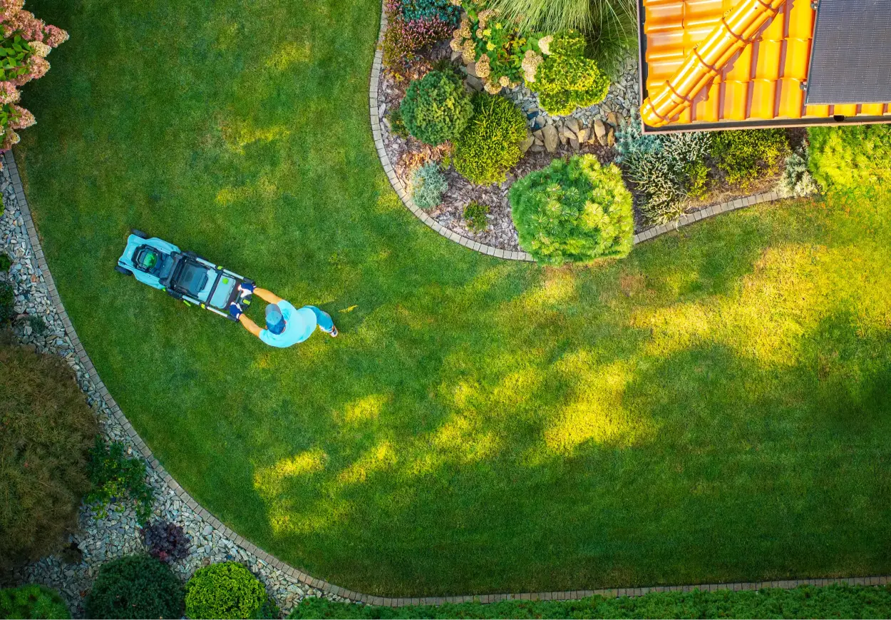 Lawn Maintenance