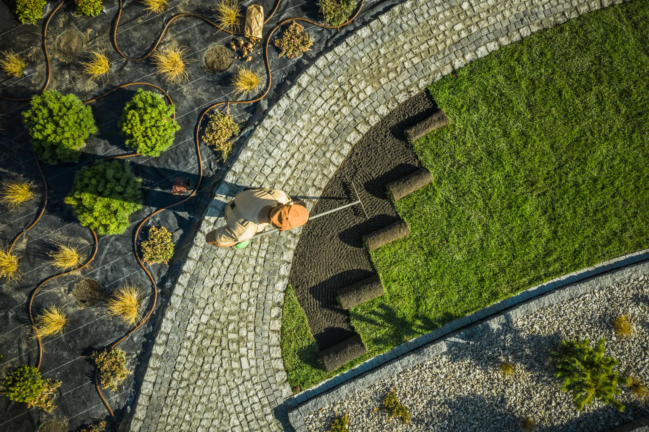 Landscaping Services in Davis CA