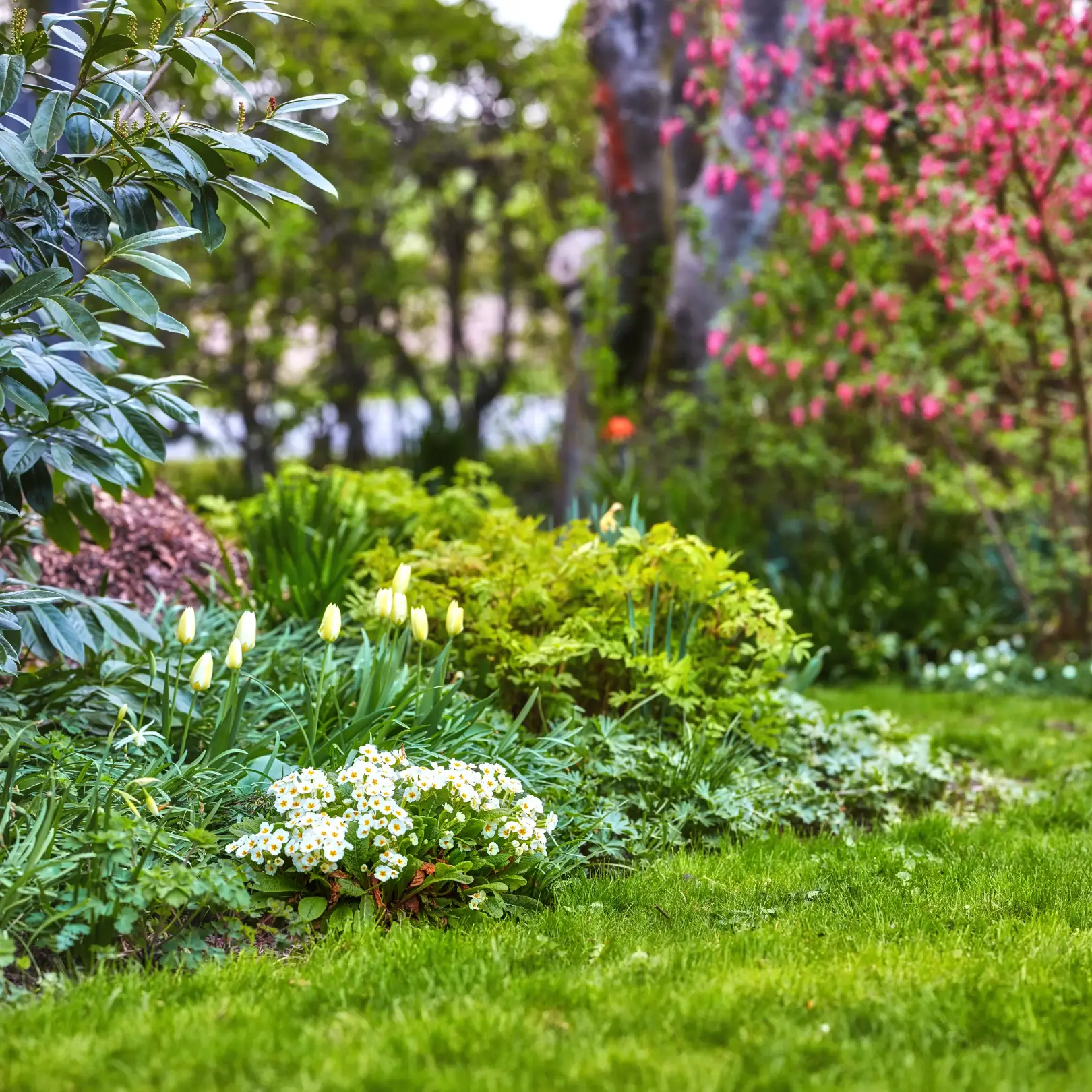 Landscaping Services in West Sacramento, CA