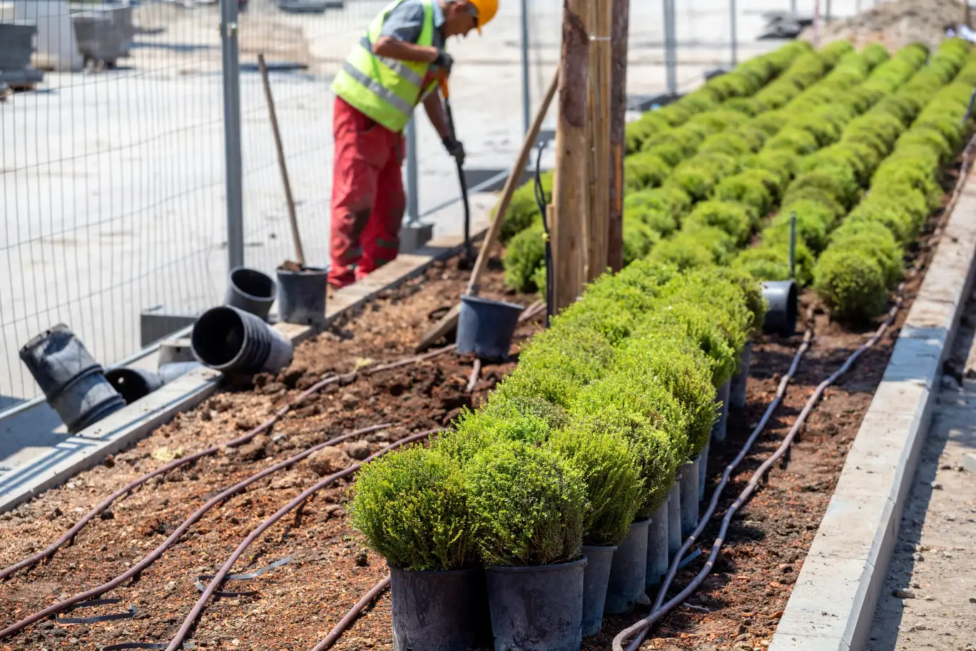 Landscaping Services in Woodland, CA