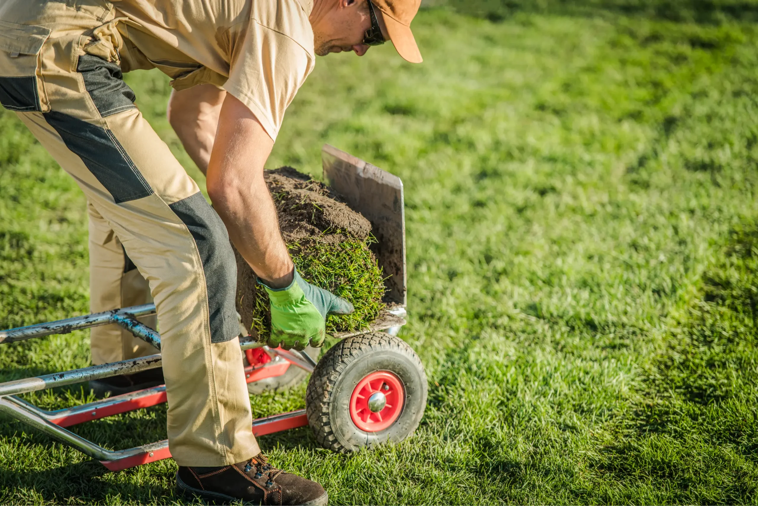 SOD Installation