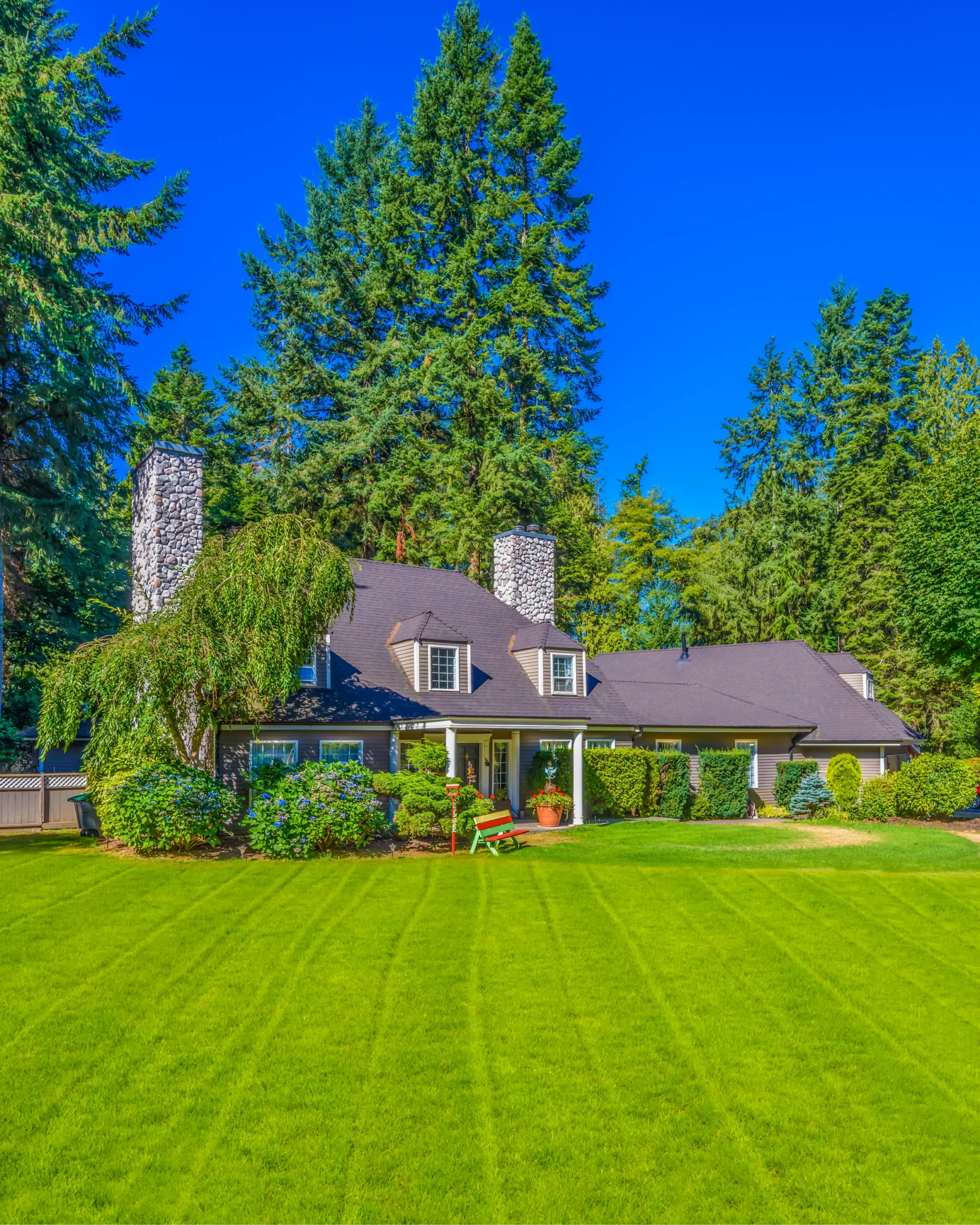 Water-Efficient Landscaping & Lawn Conversions in Davis