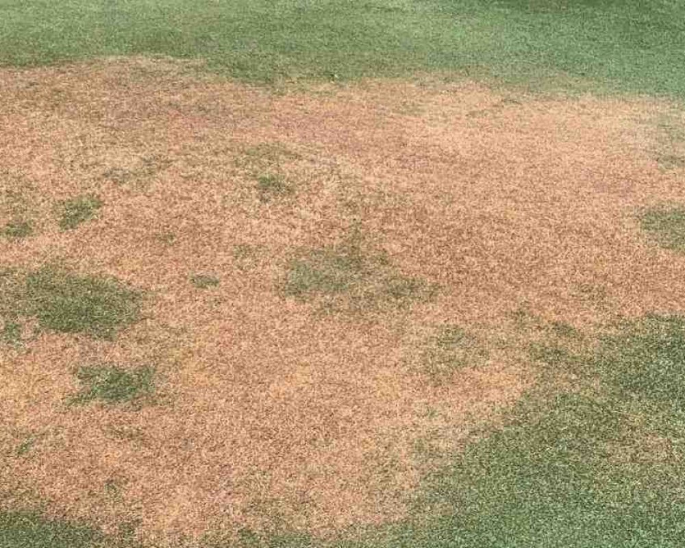 DrySpot Dry Spots