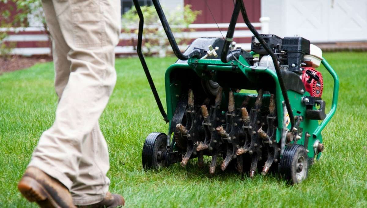 Lawn Aeration