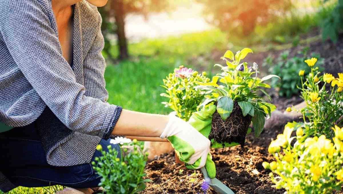 Weed Control Services